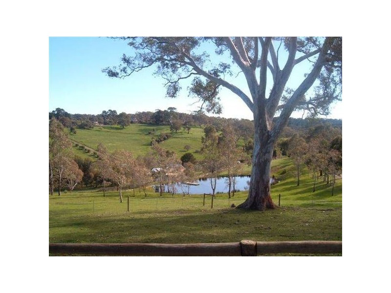 Lewis St, Cherry Gardens SA 5157