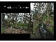 3a Glen Ave, Hawthorndene SA 5051