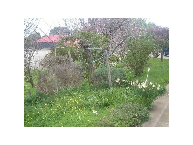 Hay Street, Mount Barker SA 5251