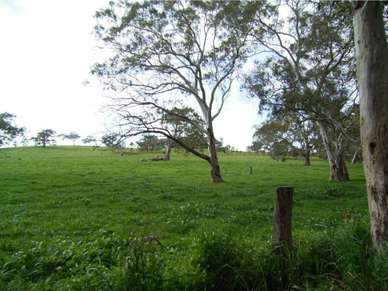 Lot 4 Hammersmith Drive, Meadows SA 5201