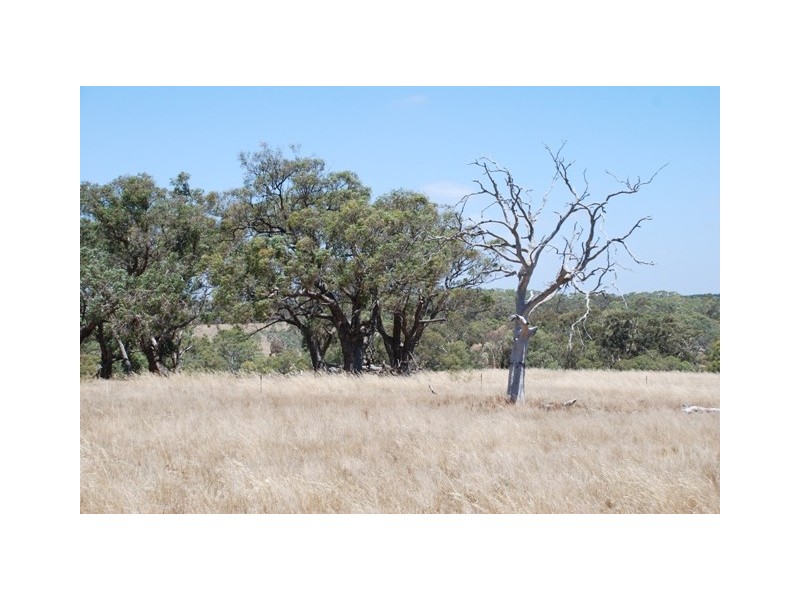 Lot 4 Hammersmith Drive, Meadows SA 5201