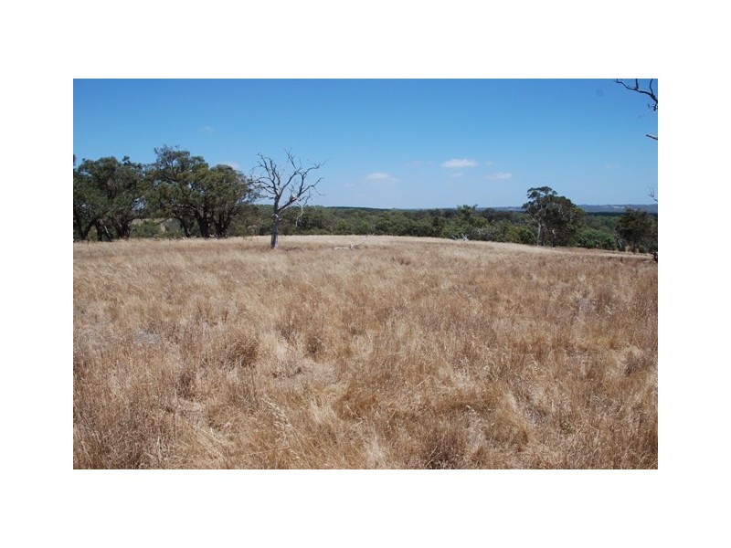 Lot 4 Hammersmith Drive, Meadows SA 5201