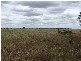 0 Blackett Road, Tailem Bend SA 5260