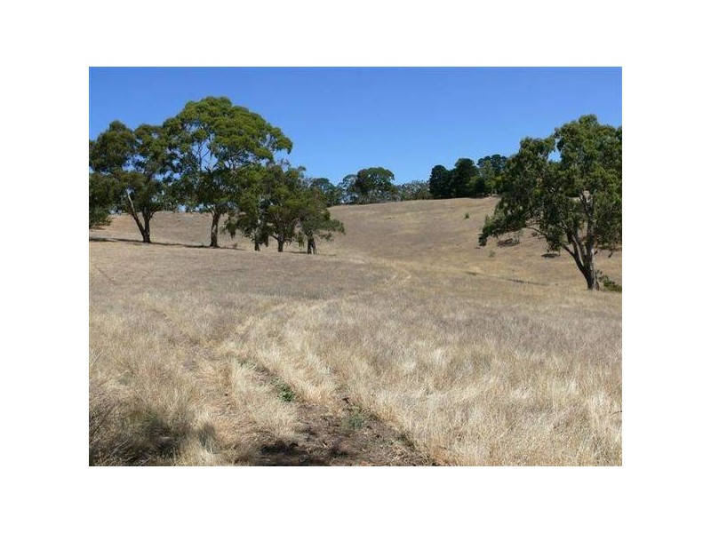 Lot 11 Cherry Gardens Road, Cherry Gardens SA 5157