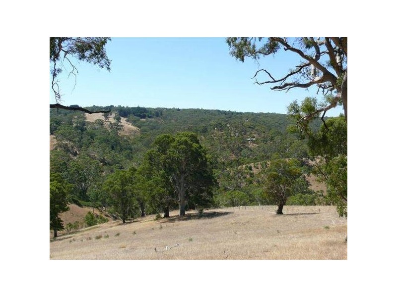 Lot 11 Cherry Gardens Road, Cherry Gardens SA 5157