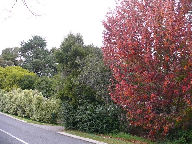 46 Anderson Road, Aldgate SA 5154