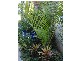 18 Cullford Avenue, Klemzig SA 5087