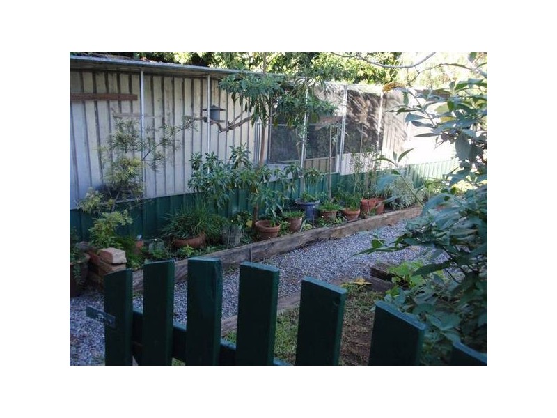 18 Cullford Avenue, Klemzig SA 5087
