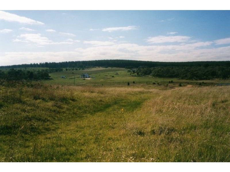 821 Thomas Road, Millicent SA 5280