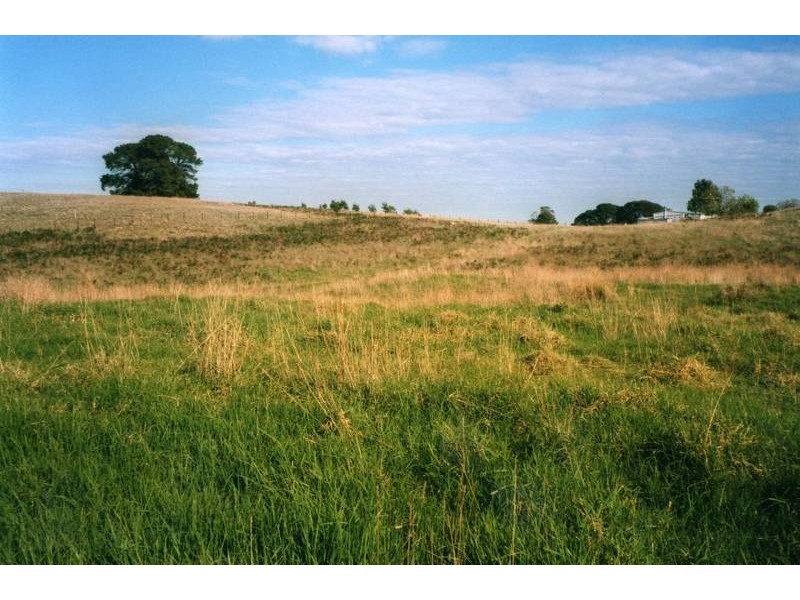 821 Thomas Road, Millicent SA 5280