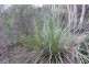 Lot 49,  Upper Sturt Road, Crafers West SA 5152