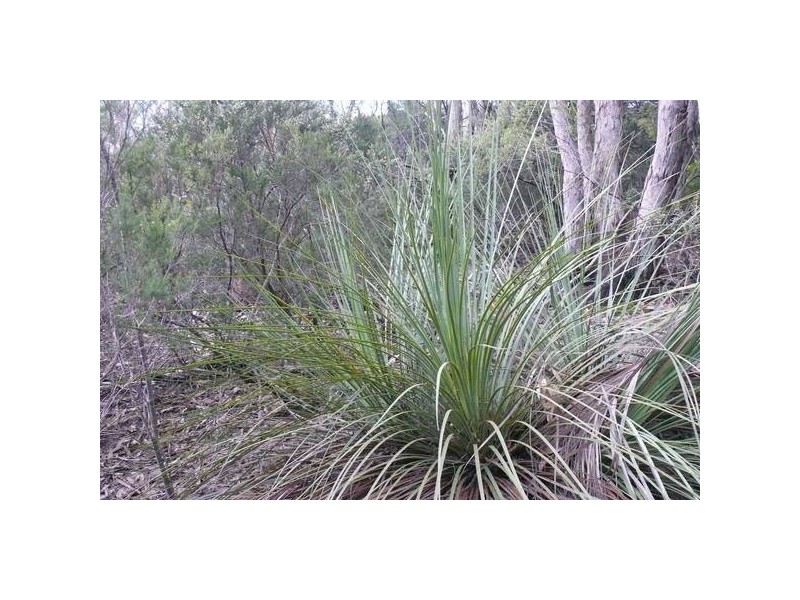 Lot 49,  Upper Sturt Road, Crafers West SA 5152