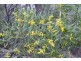 Lot 49,  Upper Sturt Road, Crafers West SA 5152
