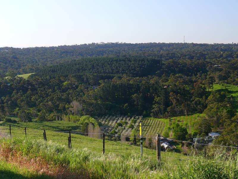 59 Private Road, Coromandel East SA 5157