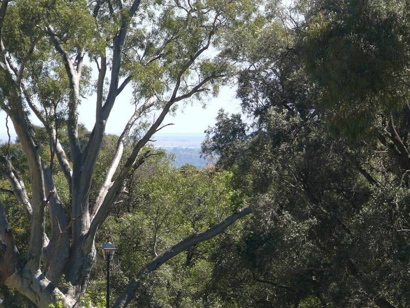 Lot 1,  Coppins Road, Urrbrae SA 5064