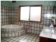 176 Mimosa Rd, Greenacre NSW 2190