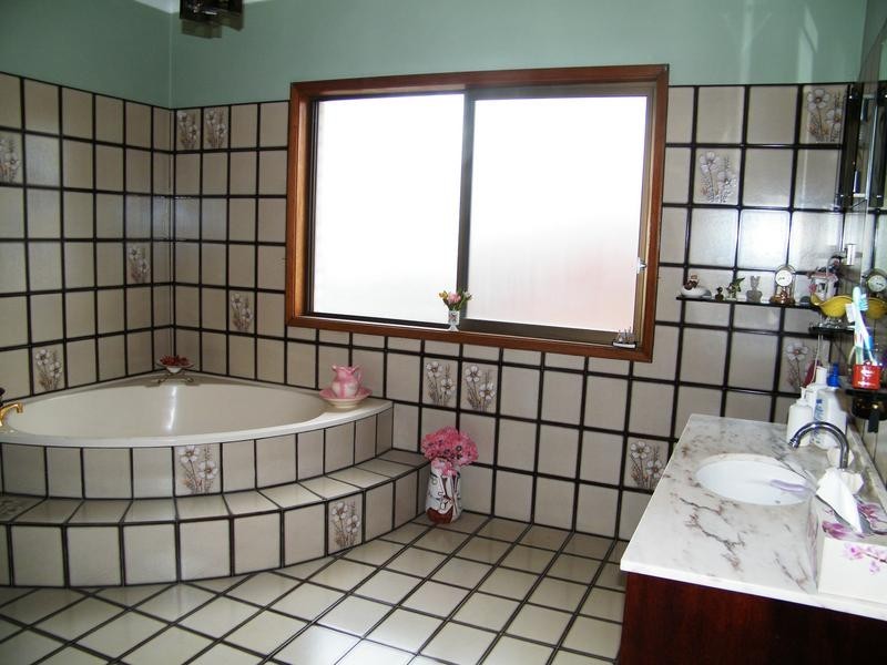 176 Mimosa Rd, Greenacre NSW 2190