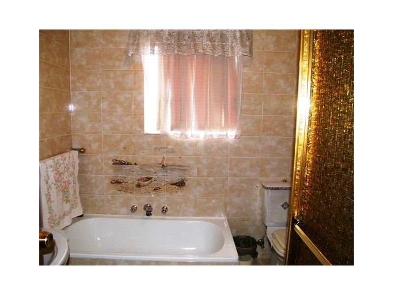 141 Mimosa Rd, Greenacre NSW 2190