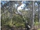 12 First Ave, Katoomba NSW 2780