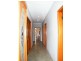 20 MOUNT LEWIS AVE, Mount Lewis NSW 2190