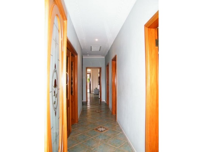 20 MOUNT LEWIS AVE, Mount Lewis NSW 2190
