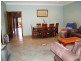 20 MOUNT LEWIS AVE, Mount Lewis NSW 2190