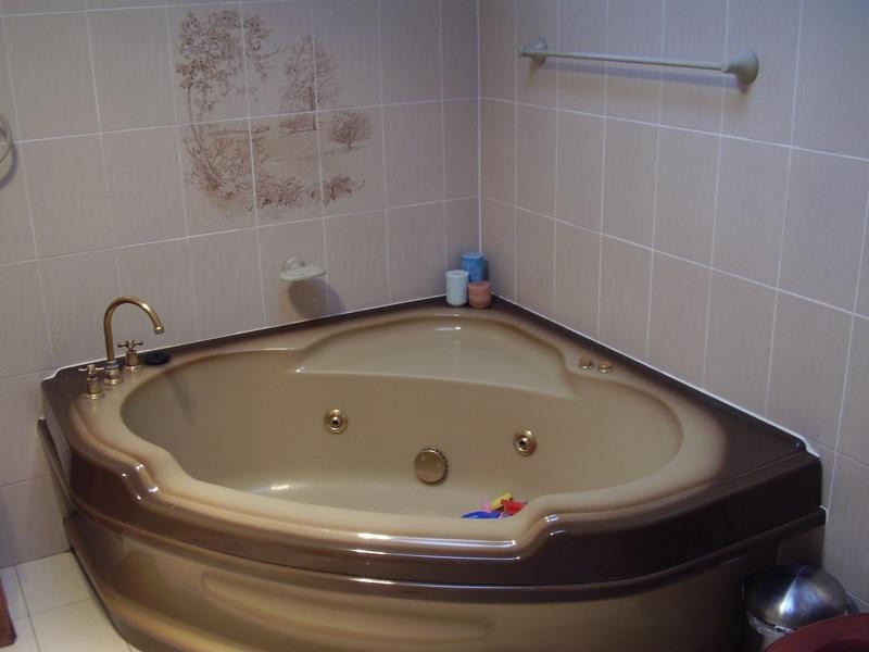 1 Kareela Cres, Greenacre NSW 2190