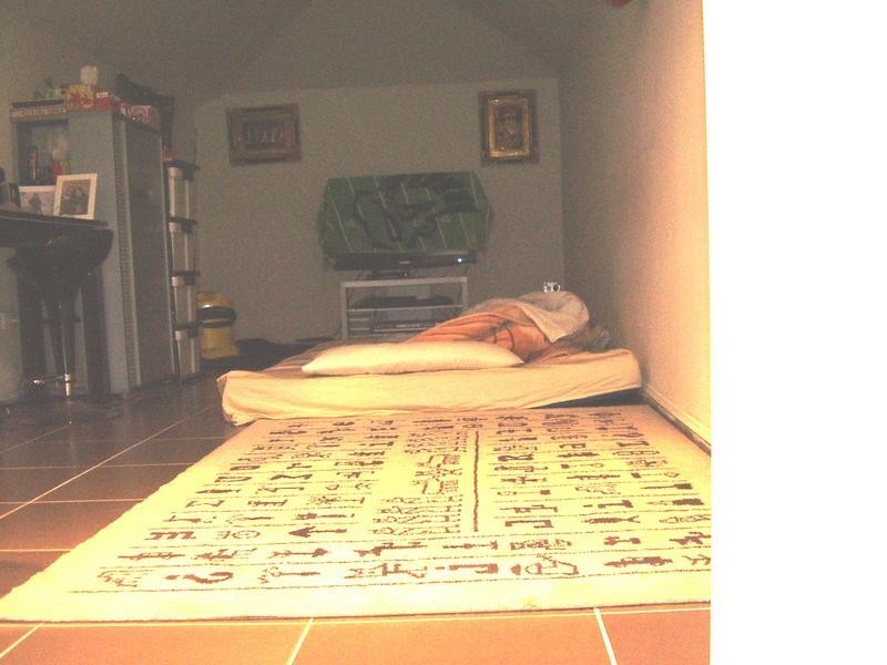 75 Hume Hwy, Greenacre NSW 2190