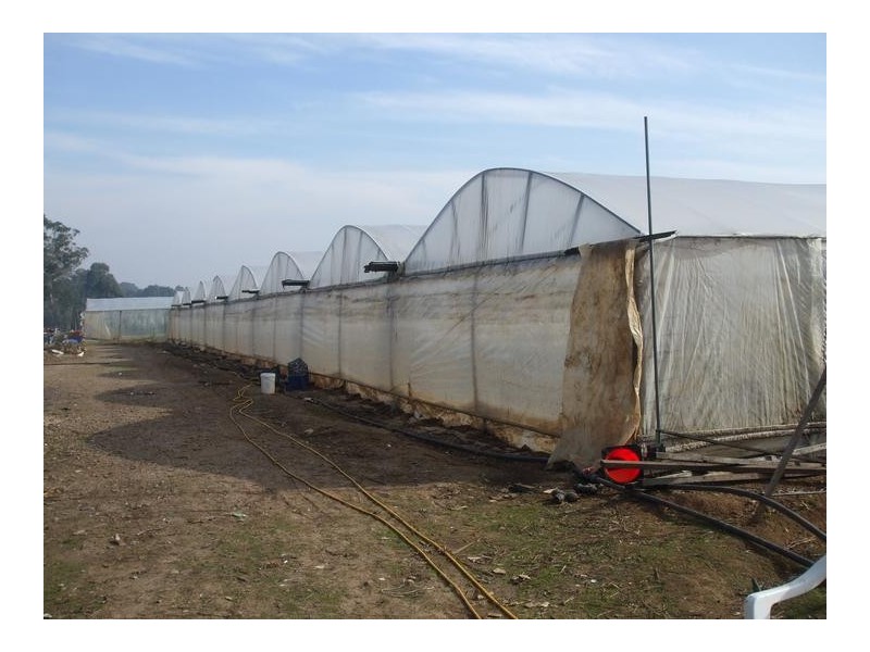 630 Twelfth Ave, Rossmore NSW 2557