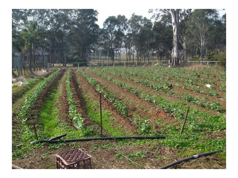 630 Twelfth Ave, Rossmore NSW 2557