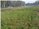 Rossmore NSW 2557