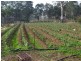 Rossmore NSW 2557