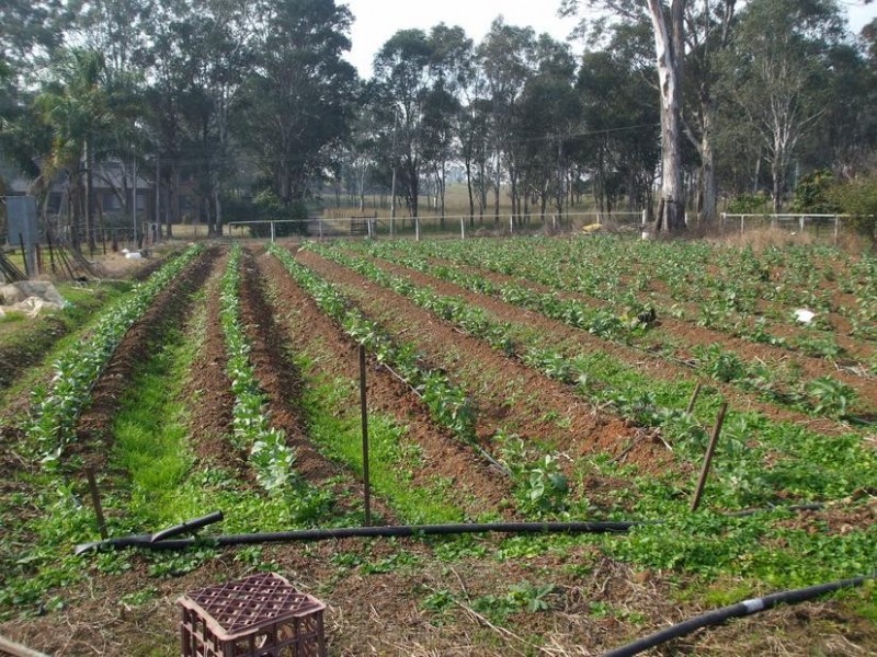 Rossmore NSW 2557