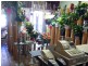 865 New Canterbury Rd, Hurlstone Park NSW 2193