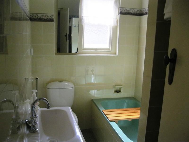 45 Mt Lewis Ave, Punchbowl NSW 2196