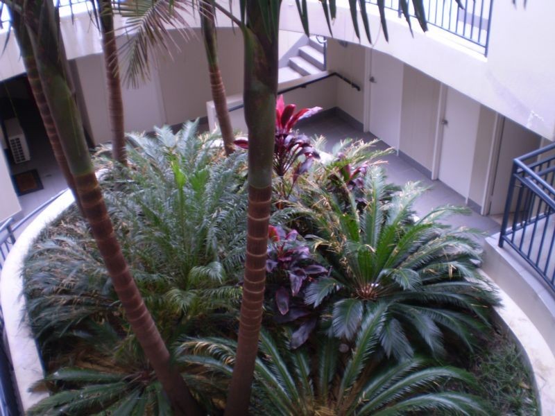 9/300-306 Canterbury Rd., Canterbury NSW 2193