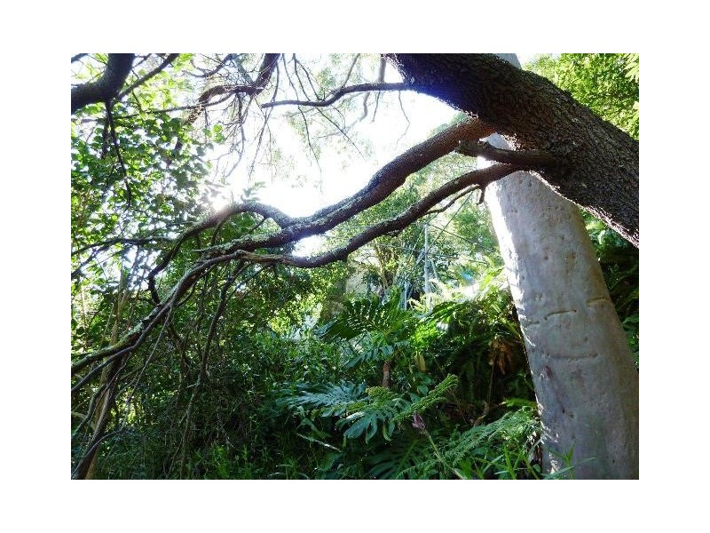 23 Riverview Rd, Oyster Bay NSW 2225