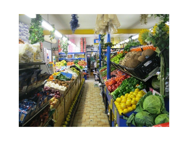 77 Wattle St, Punchbowl NSW 2196