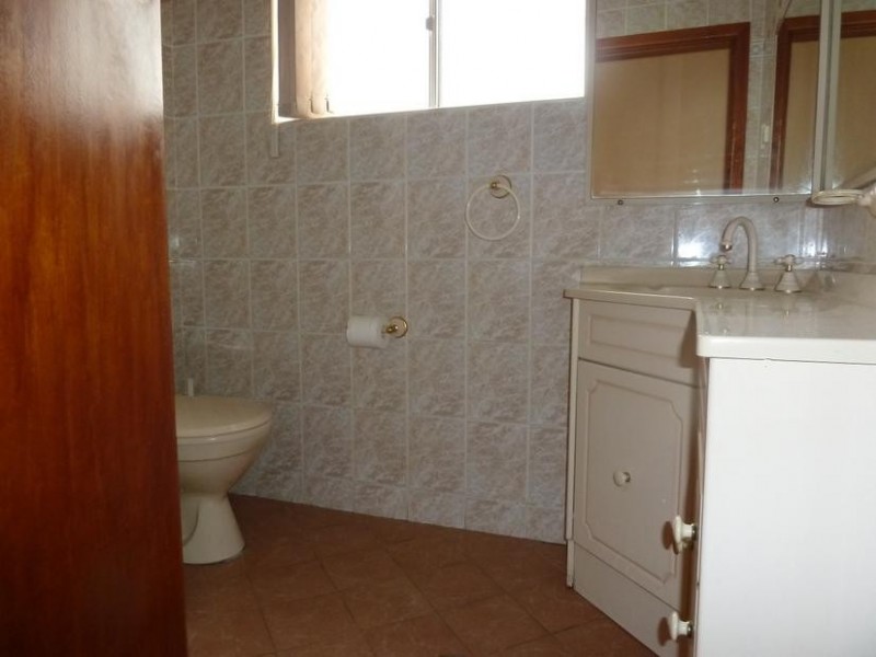 6 Myall Street, Punchbowl NSW 2196