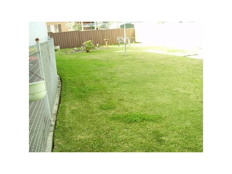 Buckland St, Greenacre NSW 2190