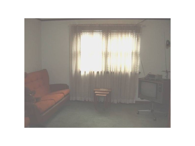 12 Mount Lewis Av, Mount Lewis NSW 2190