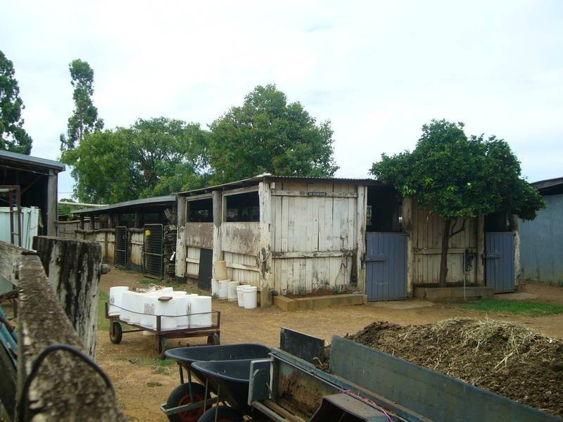 38 Owen Street, Dalby QLD 4405