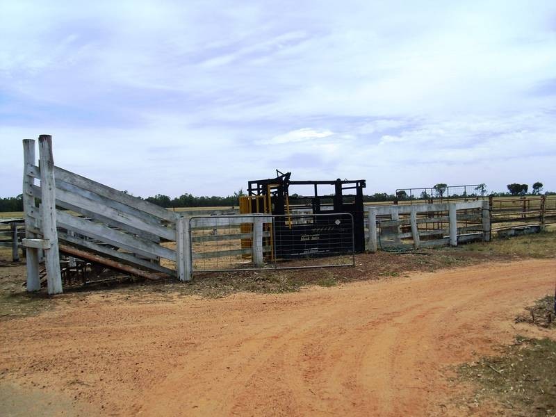 Lot 21,  Gulera-Daandine Road, Dalby QLD 4405