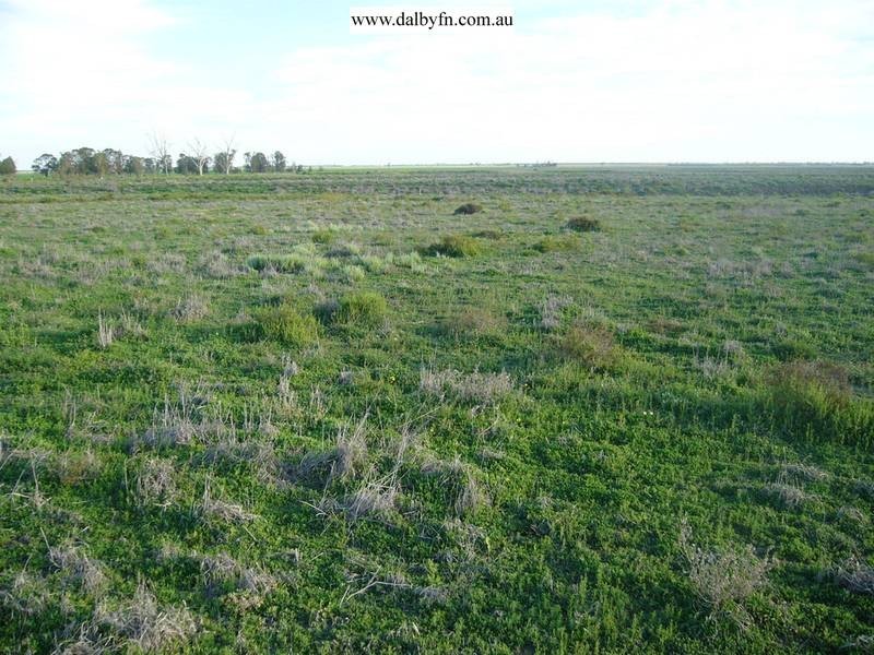 Lot 69 Wambo Dve, Pirrinuan QLD 4405