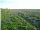 Lot 69 Wambo Dve, Pirrinuan QLD 4405
