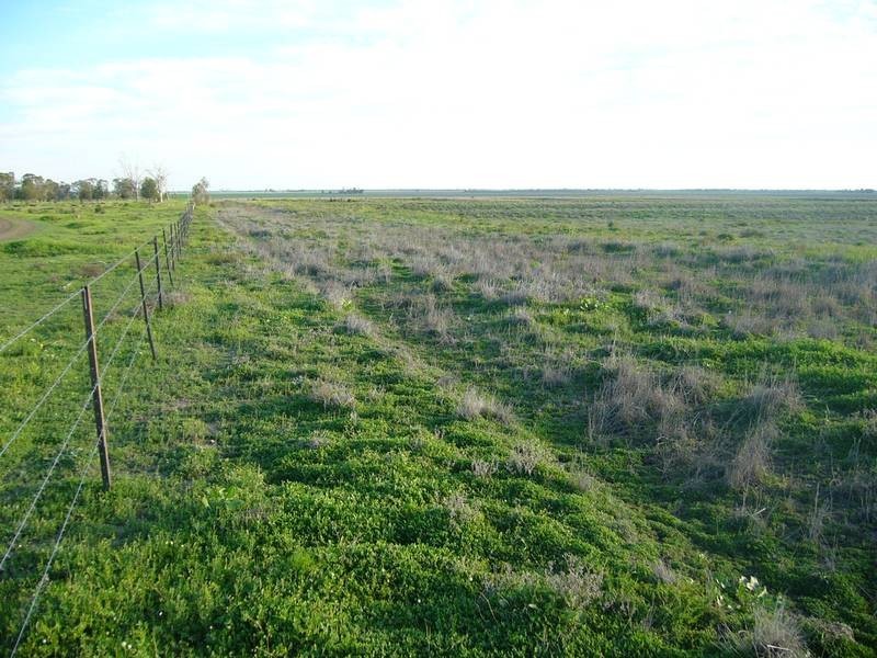 Lot 69 Wambo Dve, Pirrinuan QLD 4405