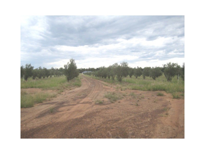 4389 Moonie Highway, Dalby QLD 4405