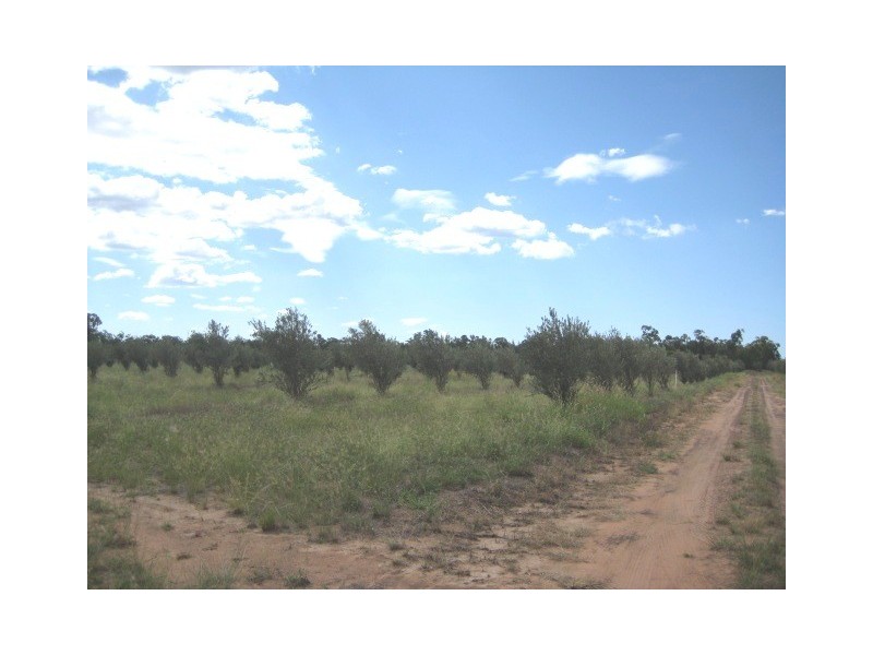 4389 Moonie Highway, Dalby QLD 4405