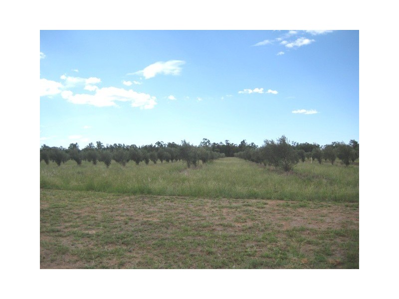 4389 Moonie Highway, Dalby QLD 4405