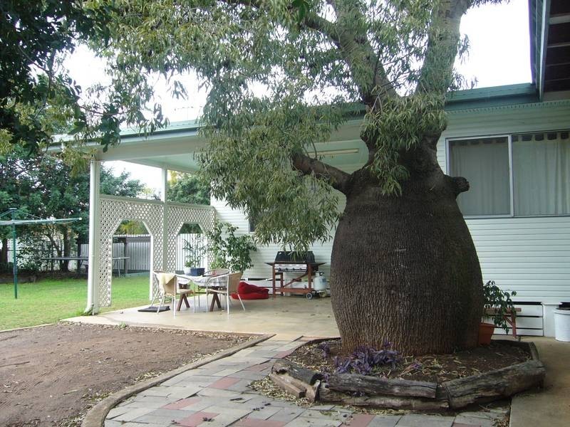 9 Morris Street, Dalby QLD 4405